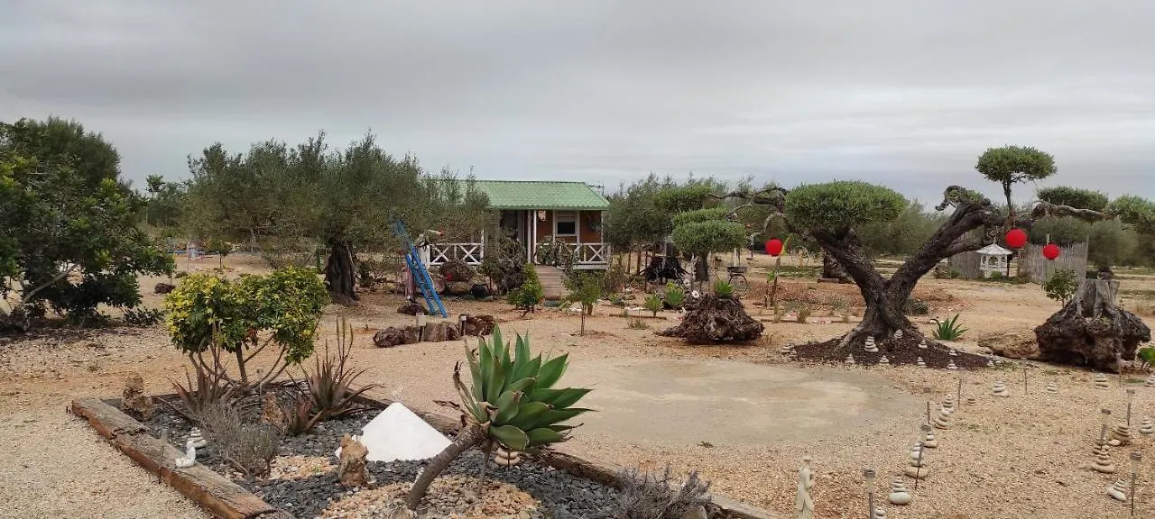 Eden Villa Camarles