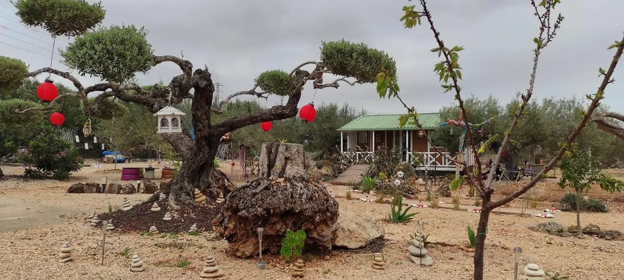 Holiday home Eden Villa Camarles