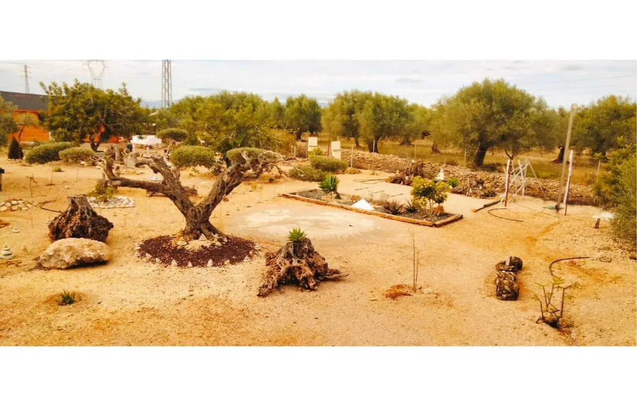 Eden Villa Camarles Spain