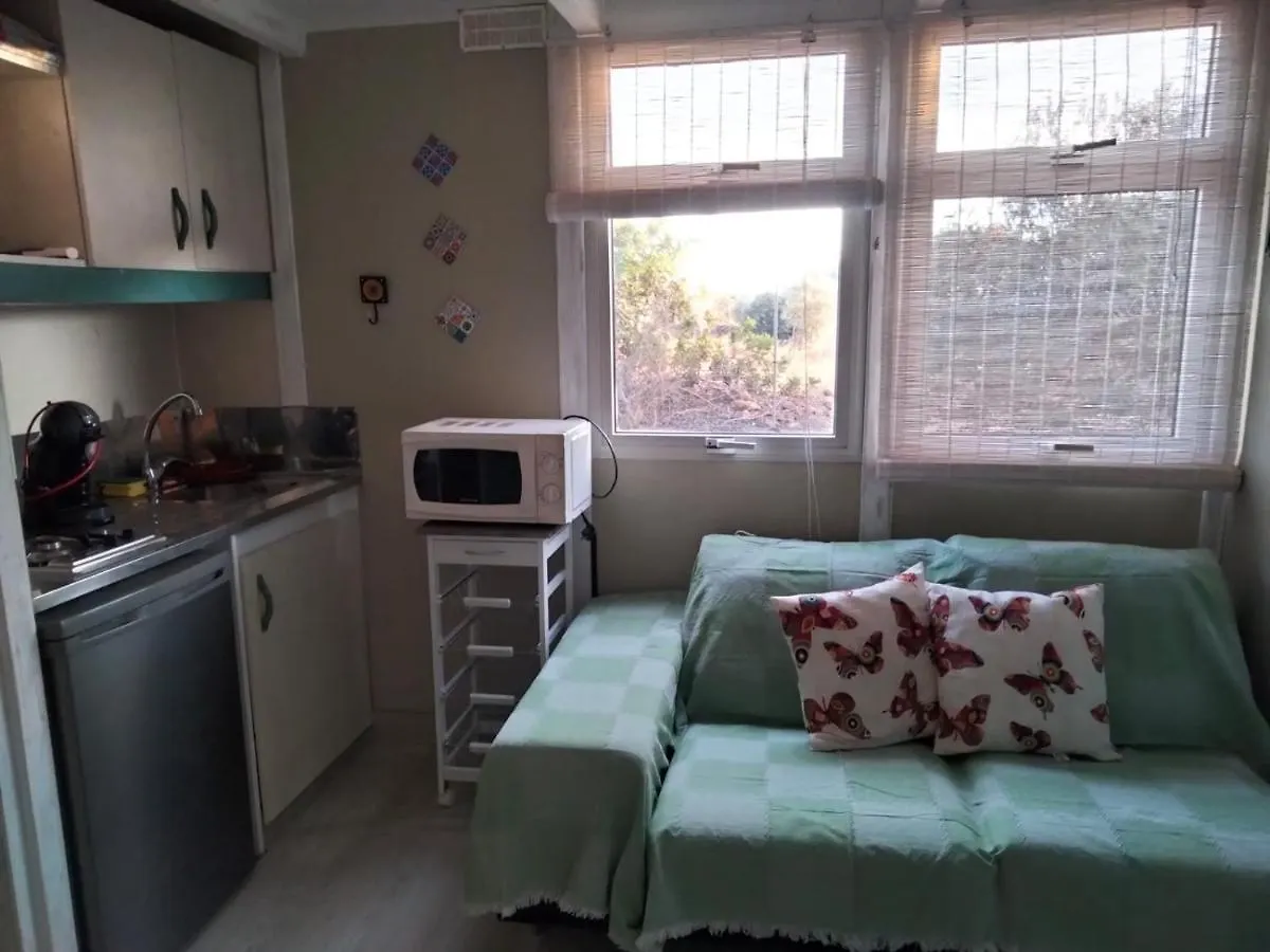 Eden Villa Camarles Holiday home