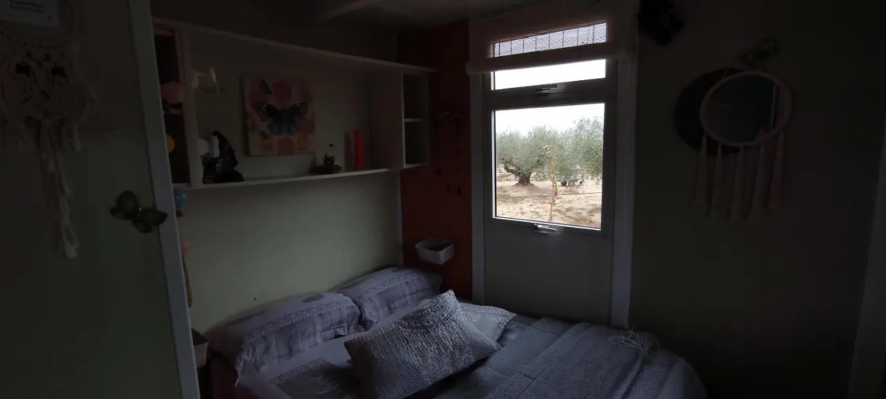 Eden Villa Camarles Spain